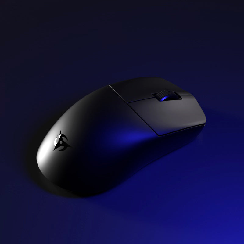 Maus von Flickt