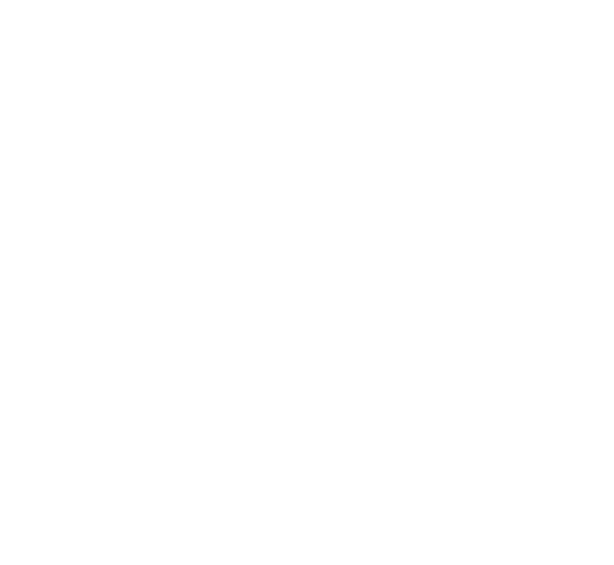 ROA Logo · Weiß auf Dunkel